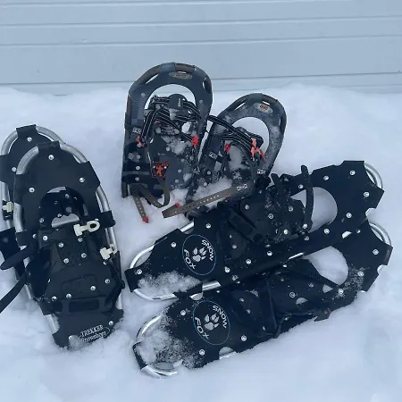 Arctic Circle For Winter Villa Rovaniemi