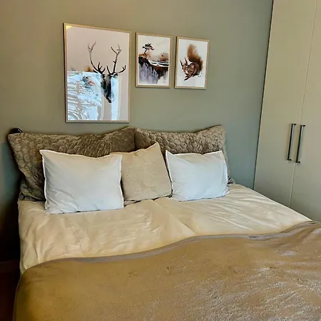 Arctic Circle For Winter * Rovaniemi