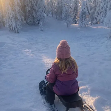 Arctic Circle For Winter Villa *