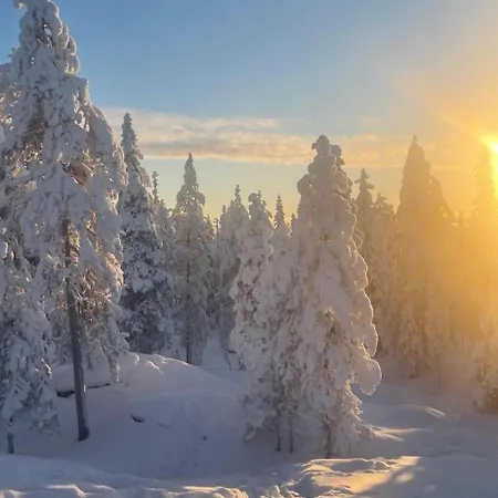 Arctic Circle For Winter Villa