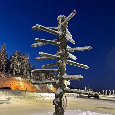 Arctic Circle For Winter